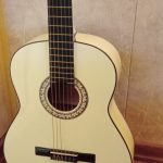 گیتار دیاموند سری جدید همراه با کیف