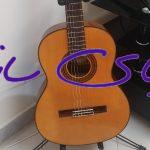 گیتار پالادو CG80