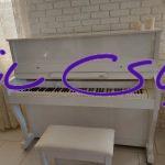 پیانو casio px-s1000 در حد آکبند