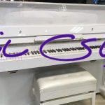 پیانو casio px-s1000 در حد آکبند