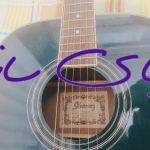 گیتار آکوستیک آیبانز