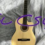 گیتار مستر ورک